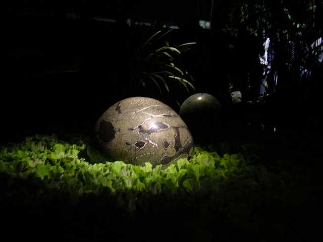 DSC02131.JPG