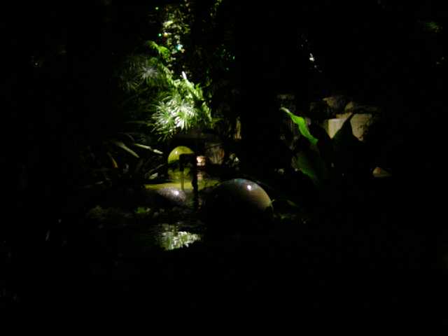 DSC02132.JPG
