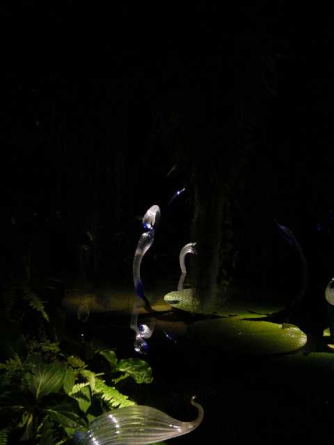 DSC02135.JPG