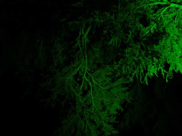 DSC02140.JPG