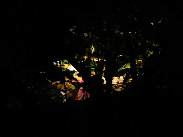 DSC02143.JPG