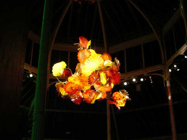 DSC02145.JPG