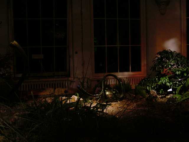 DSC02146.JPG