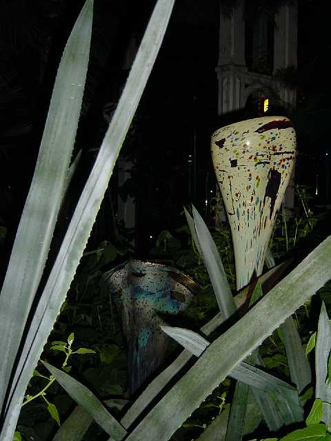 DSC02149.JPG