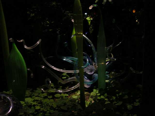 DSC02151.JPG