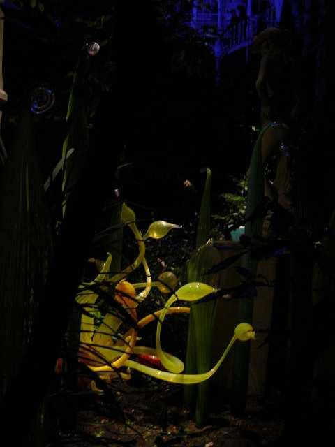 DSC02152.JPG