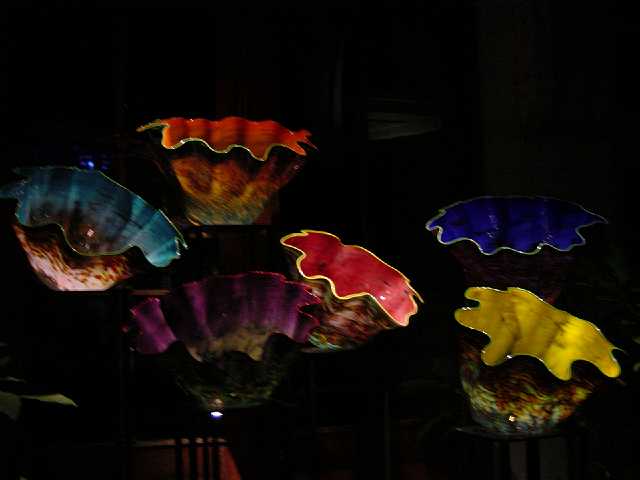 DSC02155.JPG