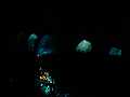 DSC02138