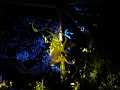 DSC02160