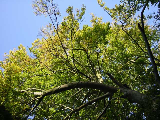 DSC02179.JPG