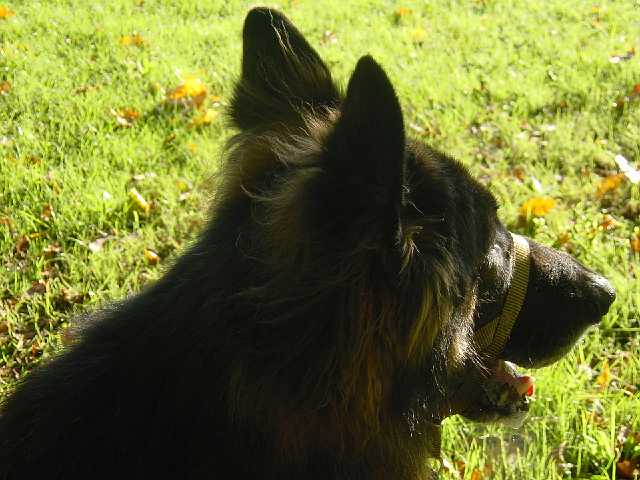 DSC02194.JPG