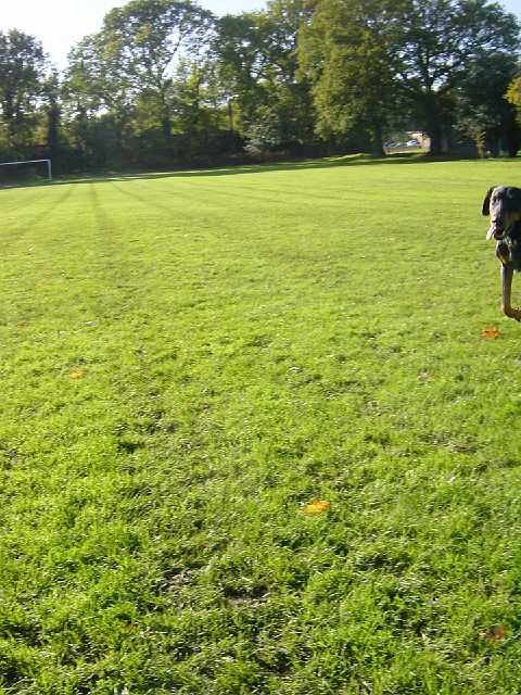 DSC02204.JPG