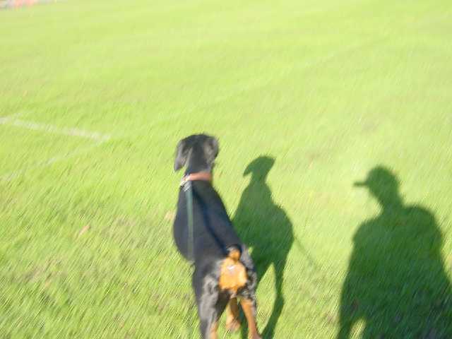 DSC02212.JPG