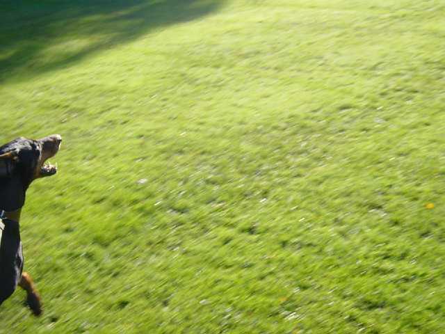 DSC02214.JPG