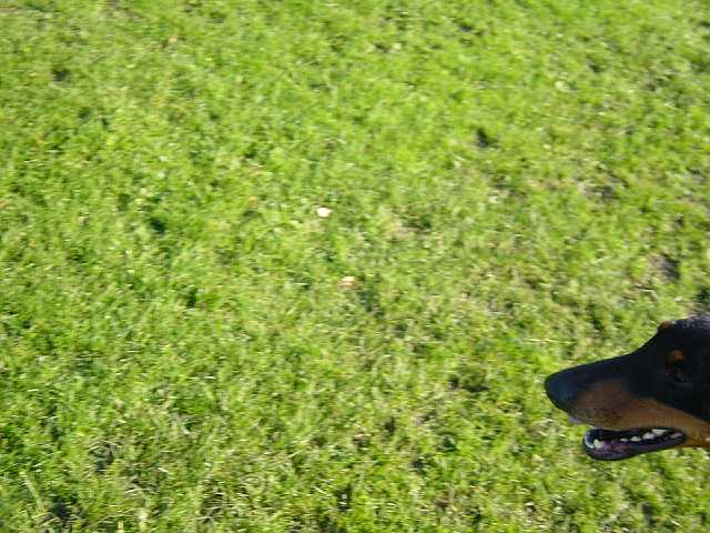 DSC02216.JPG