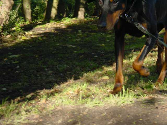 DSC02224.JPG