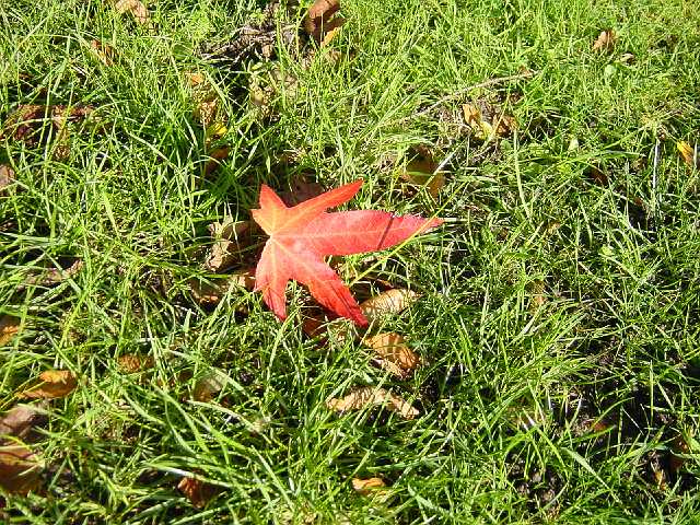 DSC02227.JPG