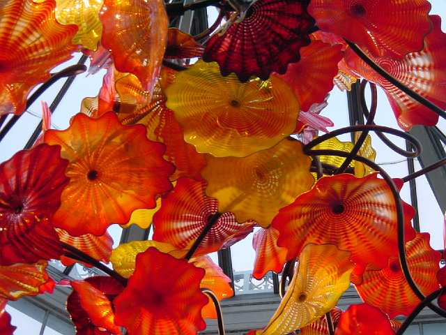 DSC02327.JPG