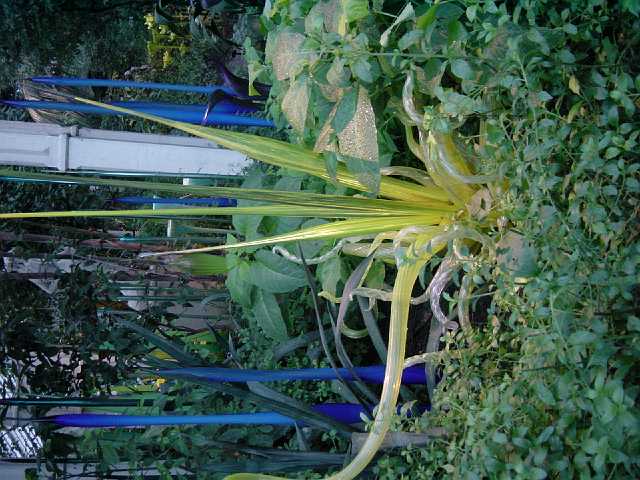 DSC02328.JPG