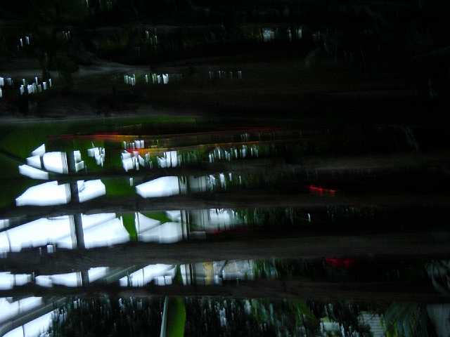 DSC02333.JPG