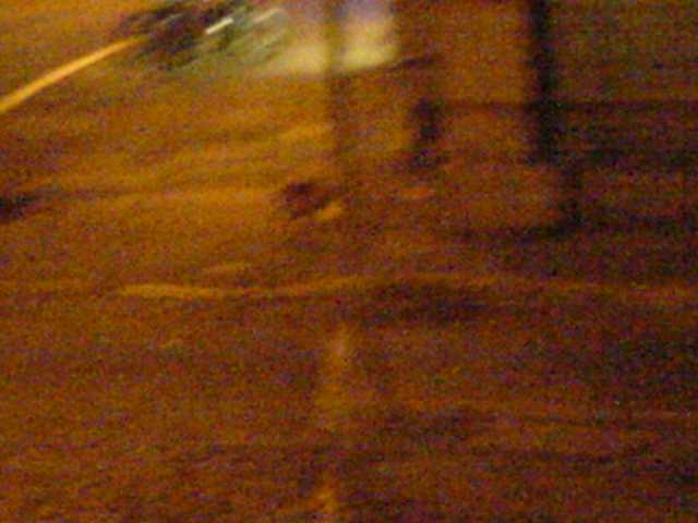 DSC00053.JPG