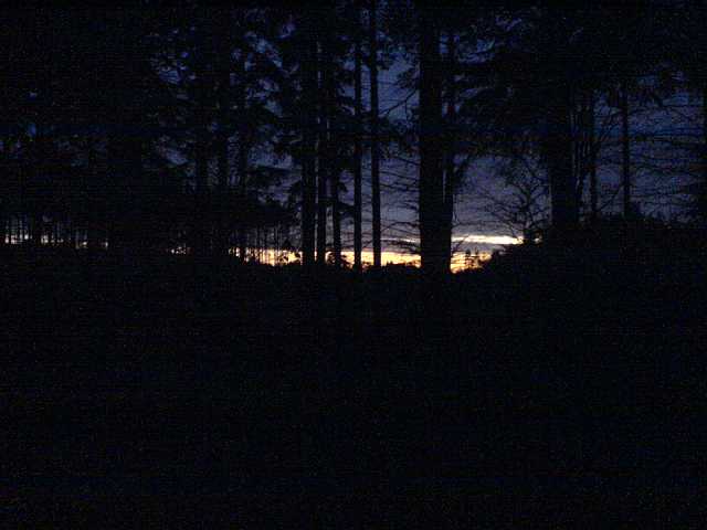DSC00057.JPG