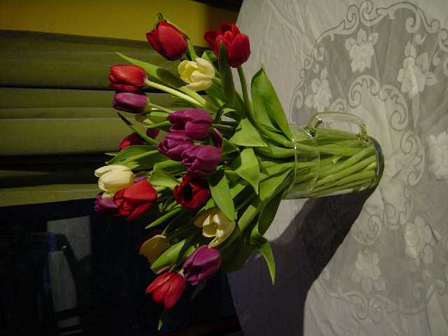 DSC02505.JPG