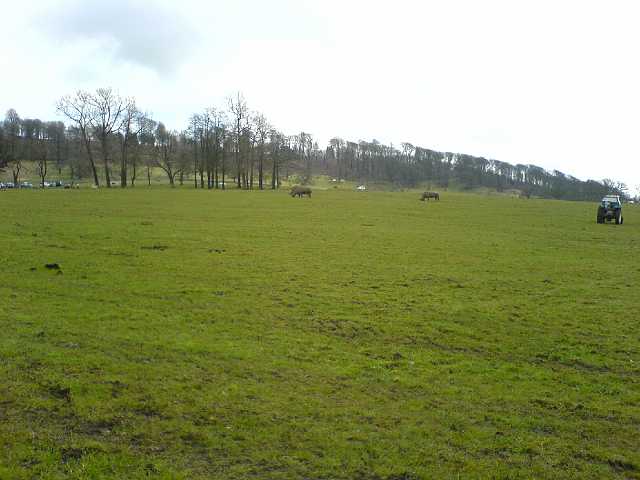 DSC00094.JPG