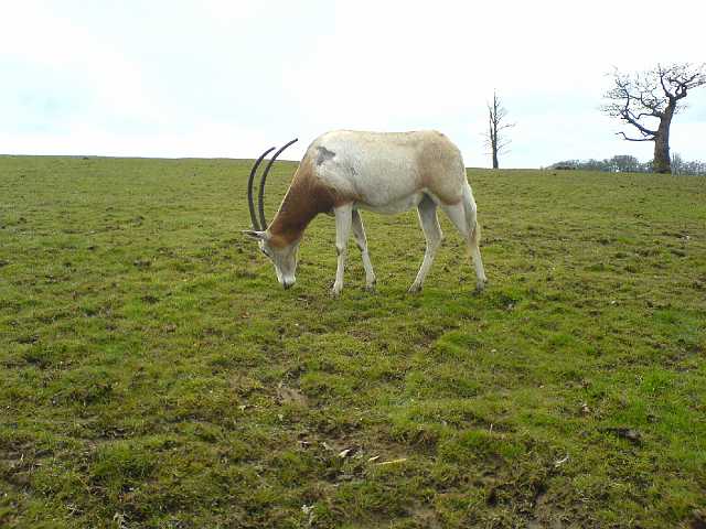 DSC00096.JPG
