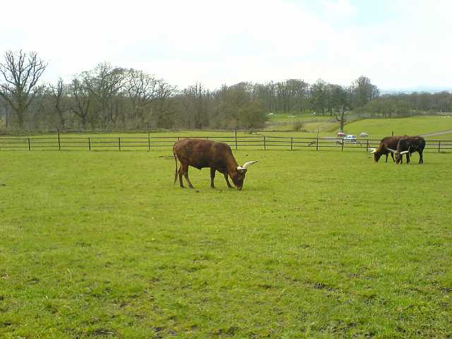 DSC00100.JPG