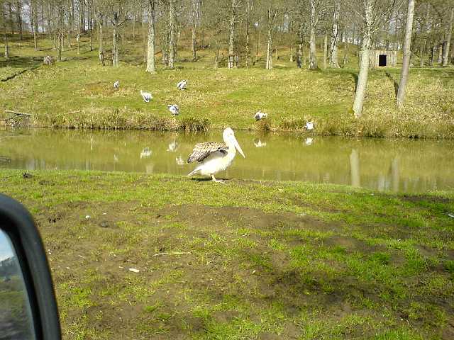 DSC00109.JPG