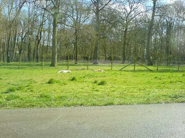 DSC00110.JPG