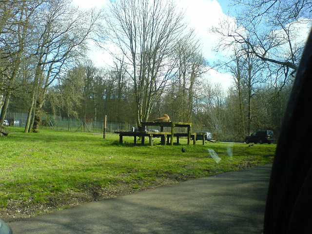 DSC00111.JPG