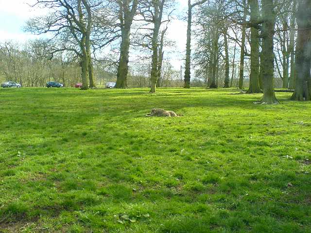 DSC00120.JPG