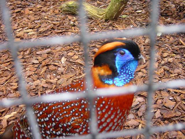 DSC02541.JPG
