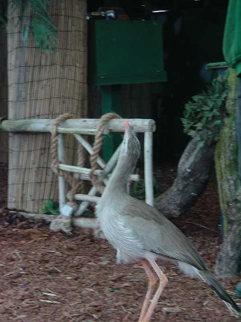 DSC02562.JPG