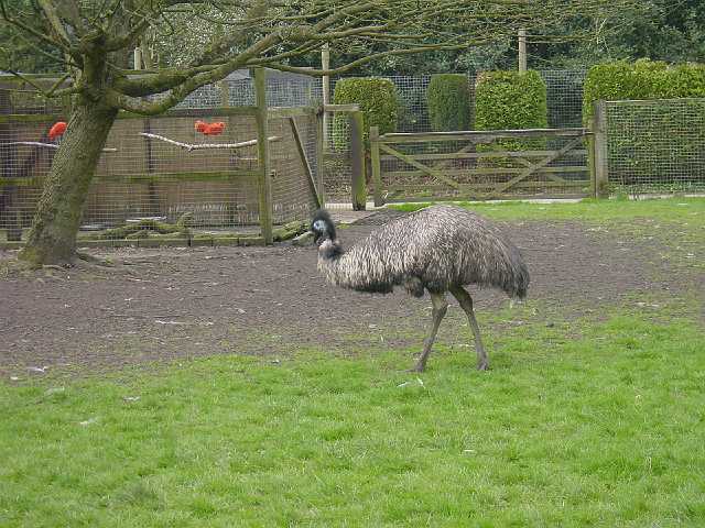 DSC02590.JPG