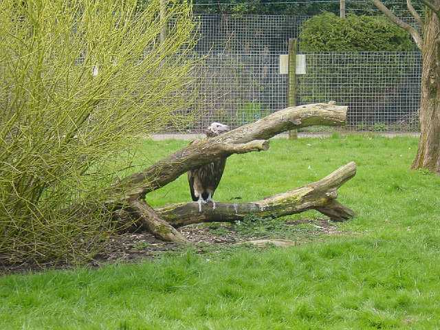 DSC02596.JPG