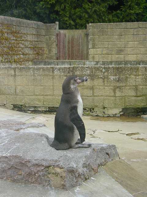 DSC02599.JPG