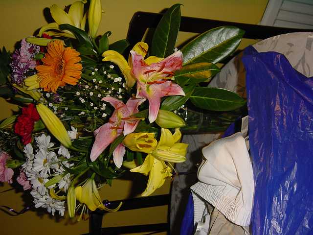 DSC02621.JPG
