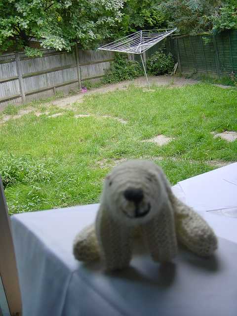 DSC02737.JPG