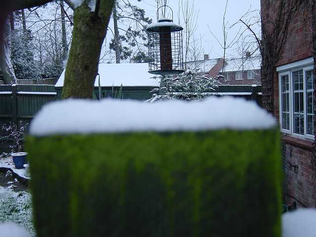 DSC02958.JPG