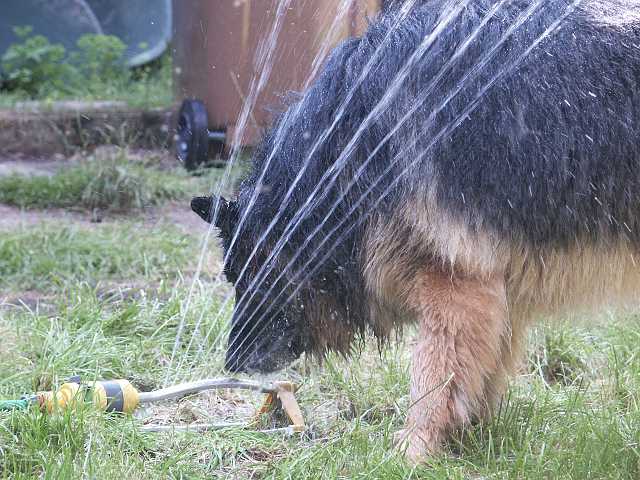 PICT0004.JPG