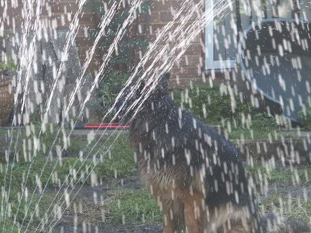 PICT0020.JPG