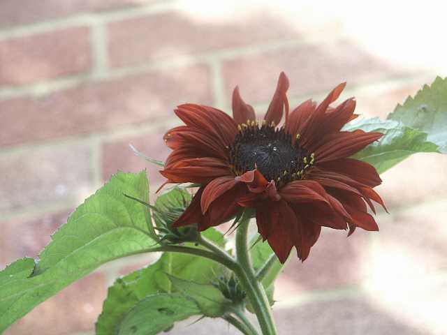PICT0029.JPG