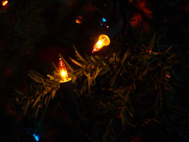 P1050286.JPG - More lights