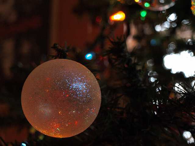 P1050336.JPG - Floaty