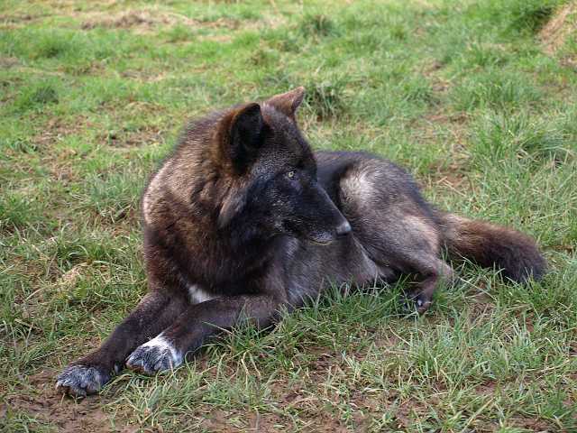 P1260875.JPG
