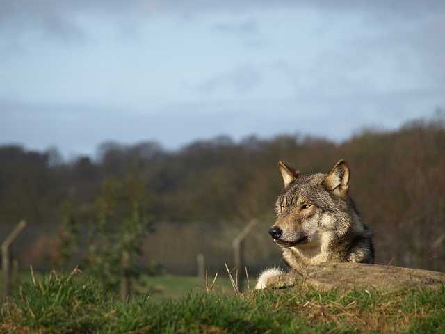 P1260882.JPG