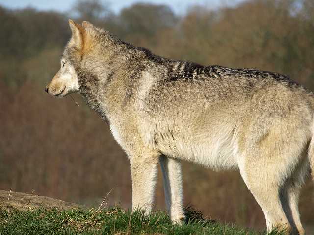 P1261334.JPG
